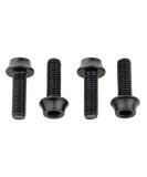 Wolf Tooth Precision Anodized Water Bottle Cage Bolts Black - Buy Online on GoSupps.com