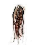 Sexy Sparkles 25 Natural Rooster Browns & Grizzly Hair Feathers for Extensions (6-11 inches) - Buy Online on GoSupps.com