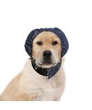 MPS Head Cover for Small Dogs - Protective & Comfortable with Cover Pad | International Shipping Available - Buy Online on GoSupps.com