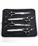 Professional 6/6.5 Inch Hair Scissors Set - Hairdressing & Thinning Scissors (4 Pieces) - International Shipping Available - Buy Online on GoSupps.com