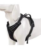 Winhyepet Truelove No-Pull Dog Harness - Reflective & Adjustable with 2 Linen Clips | Control Handle for All Dog Sizes - TLH5651 L Black - Buy Online on GoSupps.com