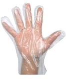 St llion Clear Disposable Plastic Gloves Food Prep Work Transparent Gloves for Cooking Cleaning Handling | Food Safe Disposable Gloves- One Size Fits Most (500) - Buy Online on GoSupps.com