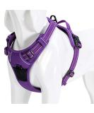 Buy Winhyepet TrueLove No-Pull Reflective Dog Harness for Small to Large Dogs | Adjustable & Durable - TLH5651 L Lila - Buy Online on GoSupps.com