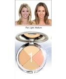 Christina Cosmetics Perfect Pigment 1 Compact: One Minute Miracle Makeup - Buy Online on GoSupps.com
