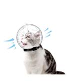 Breathable Transparent Cat Muzzles | Anti-Bite & Anti-Lick Pet Care - XL Size for Bathing & Grooming - Buy Online on GoSupps.com