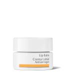 Dr. Hauschka Lip Balm - 0.15 fl oz | Moisturizing Organic Lip Care - Buy Online on GoSupps.com
