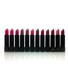 Princessa Aloe Lipsticks 24-Piece Set - 12 Fashionable Long Lasting Colors (Pack of 2) Red - Buy Online on GoSupps.com