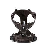 Shop Winhyepet Truelove No-Pull Reflective Dog Harness & Adjustable Pet Dishes - TLH5651 L Brown for Small to Large Dogs - Buy Online on GoSupps.com