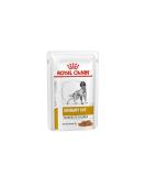 ROYAL CANIN Urinary S/O Moderate Calorie Wet Dog - 12 x 100g - Buy Online on GoSupps.com