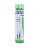 Boiron Baryta Carbonica 30X MD - 80 Pellets for Sore Throat Relief in Cold & Wet Weather | Fast International Shipping - Buy Online on GoSupps.com