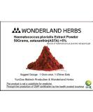 Pure Haematococcus pluvialis Extract Powder 100 Grams astaxanthin ASTA 5+% - Buy Online on GoSupps.com