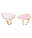 Didiseaon 2pcs Shell Ring Palette - Devil Horns Nail Art Mixing Plates for Gel Polish & Manicure Tools - Buy Online on GoSupps.com
