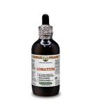 Lomatium (Lomatium Dissectum) Alcohol-Free Glycerite Extract - 120ml | Natural Herbal Remedy for Immune Support - 1 Pack - Buy Online on GoSupps.com