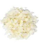 Coconut Chips 1kg - RAW Coconuts Flakes Natural Dried Unsweetened Flaked Edible Flesh Untoasted Pieces Slices for Baking Cooking Desserts Cakes Snack Non GMO & Vegan (Packaging May Vary) PURIMA - Buy Online on GoSupps.com