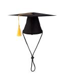 Pet Graduation Cap Dog Graduation Hat with Yellow Tassel Pet Grad Costume Party Apparel Holiday Accessory for Dogs Cats - Buy Online on GoSupps.com