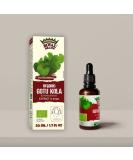 Organic Gotu Kola Extract Drops - 50ml | Premium Quality Herbal Supplement in Glass Bottle - Buy Online on GoSupps.com