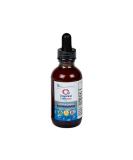 Professional Liposomal Vitamin B-12 with L-5-MTHF | Methylfolate Liquid | Non-GMO, Non-Soy | 2 Fl Oz - Buy Online on GoSupps.com