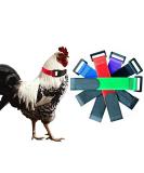 No Crow Rooster Collar - 6 Pack Anti-Crow Noise Neck Belt for Roosters - Noise-Free Chicken Collar - Buy Online on GoSupps.com