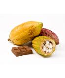 Cacao fruit - cocoa pods - Exotic fruit - Fresh from the Caribbean - Sourced by My Exotic Fruit - Buy Online on GoSupps.com