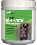 Kentucky Performance Prod 044097 Elevate Maintenance Powder Supplement for Horses, 2 lb - Buy Online on GoSupps.com