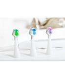 Buy Smile Bright Store Platinum Sonic Toothbrush Replacement Brush Heads - Soft Bristles 3 Count | Best for Whiter Teeth & Oral Care - International Shipping Available - Buy Online on GoSupps.com