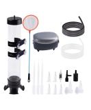 Brine Shrimp Hatchery Kit with Artemia Eggs Incubator and Silver Air Pump - Buy Online on GoSupps.com