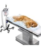 3M 55077 Bair Hugger Animal Health Blanket - Underbody Long (Pack of 10) | International Shipping Available - Buy Online on GoSupps.com