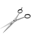 Elite Unity 6.5 Inch Hair Cutting Scissors Barber Shears - Professional Razor Edge Sharp Scissors for Barber Kit, Haircut, Trimming Men/Women - Salon & Home Use - Buy Online on GoSupps.com