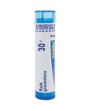 Boiron Single Remedies Ruta Graveolens 30C Approx 80 Pellets - Buy Online on GoSupps.com