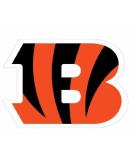 Siskiyou NFL Sports Fan Shop Cincinnati Bengals 8 inch sheet Team Color Logo Magnets Cincinnati Bengals 8 inch sheet Team Color - Buy Online on GoSupps.com