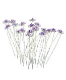 Rbenxia 20 Pcs Bridal Wedding Rhinstone Hair Pins 2.4 Inches Bridal Prom Clips Rose U-shaped Hair Pins for Women and Girls  Purple - Buy Online on GoSupps.com