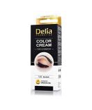 DELIA HENNA/COLOR CREAM EYEBROW PROFESSIONAL TINT KIT SET Black - Buy Online on GoSupps.com