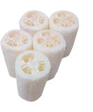 SmarTopus 5-Pack Premium Natural Loofah Sponges - Exfoliating Body Scrubber for Bath, Spa, Shower - Kitchen, Bathroom Dishes - Eco-Friendly - Buy Online on GoSupps.com