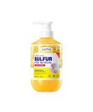 Deep Clean & Refreshing Shower Gel - Gentle Body Care for Men & Women | Sulfur Soap Liquid 16.9 Fl.Oz (500ml) for Soothing Treatment & Mite Control - Buy Online on GoSupps.com