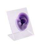 CHUANCI Soft Silicone Ear Model for Jewelry Display - 1PC Purple Left Ear Simulation with Acrylic Display - Professional Teaching Tool - Buy Online on GoSupps.com