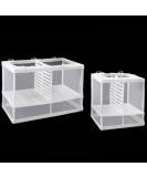 2 Pcs Nylon Mesh Aquarium Fish Fry Hatchery Isolation Box with Board - Buy Online on GoSupps.com