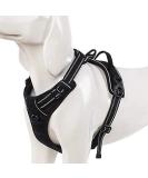 Winhyepet Truelove Dog Harness | No-Sweater Reflective | Adjustable Pet Dishes w/ Clips | Control Handle for All Dog Sizes | TLH5651 S Black - Buy Online on GoSupps.com