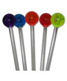 Karen Pryor Lollipop Target Stick for Clicker Training - Buy Online on GoSupps.com