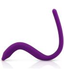 IntimateRose Pelvic Wand Trigger Point & Tender Point Release for Pelvic Floor Muscles - Men & Women - Pelvic Physical Therapy Use - Buy Online on GoSupps.com