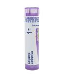 Buy Boiron Calcarea Carbonica 1M MD - 80 Pellets for Cradle Cap Relief | Fast International Shipping - Buy Online on GoSupps.com