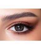 Bella 1-Day Colored Contact Lenses in Ash Brown - Natural Anthracite Color for Dark Eyes Dioptre -0.00 10x Daily Lenses - Buy Online on GoSupps.com