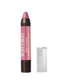 Burt's Bees 100% Natural Moisturizing Gloss Lip Crayon Pink Lagoon - 1 Count - Buy Online on GoSupps.com