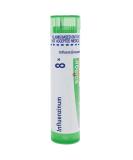 Boiron Influenzinum 8X for Flu-Like Symptoms - 80 Pellets - Buy Online on GoSupps.com