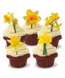 15x DAFFODIL MIX SPRING EASTER STAND UP Edible Cake Toppers Birthday ThankYou D1 - Buy Online on GoSupps.com