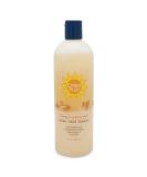 B a Vida Deodorizing Citrus Plus Elder Shampoo and Body Wash  Soap Made with Persimmon to Treat the Presence of Nonenal and Remove Old Person Smell Naturally  16 oz - Buy Online on GoSupps.com