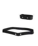 Buy TALAFIT Heart Rate Monitor Replacement Strap - Compatible with Wahoo Tickr Garmin & Polar Chest Straps | Durable & Comfortable - Buy Online on GoSupps.com
