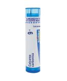 Boiron Calcarea Carbonica 9C MD - 80 Pellets for Cradle Cap Relief | International Shipping - Buy Online on GoSupps.com