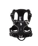 Buy Truelove No Pull Dog Harness - Reflective Adjustable Soft Padded Vest for Dogs - TLH56512 XS Black - Ideal for Comfort & Control - Buy Online on GoSupps.com