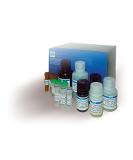 Glucose Assay Kit III (EGL3-100) - Accurate & Reliable Glucose Testing | Buy Internationally - Buy Online on GoSupps.com