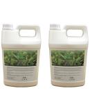 ECO Amenities 2-in-1 Nourishing Shampoo & Body Wash | Eco-Friendly Hotel Toiletries | Refill Hair & Body Care - Buy Online on GoSupps.com